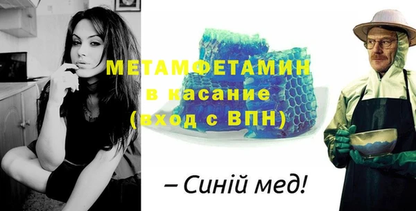 сатива Новодвинск