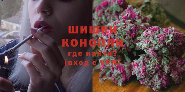 сатива Новодвинск