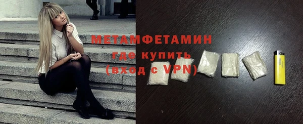сатива Новодвинск
